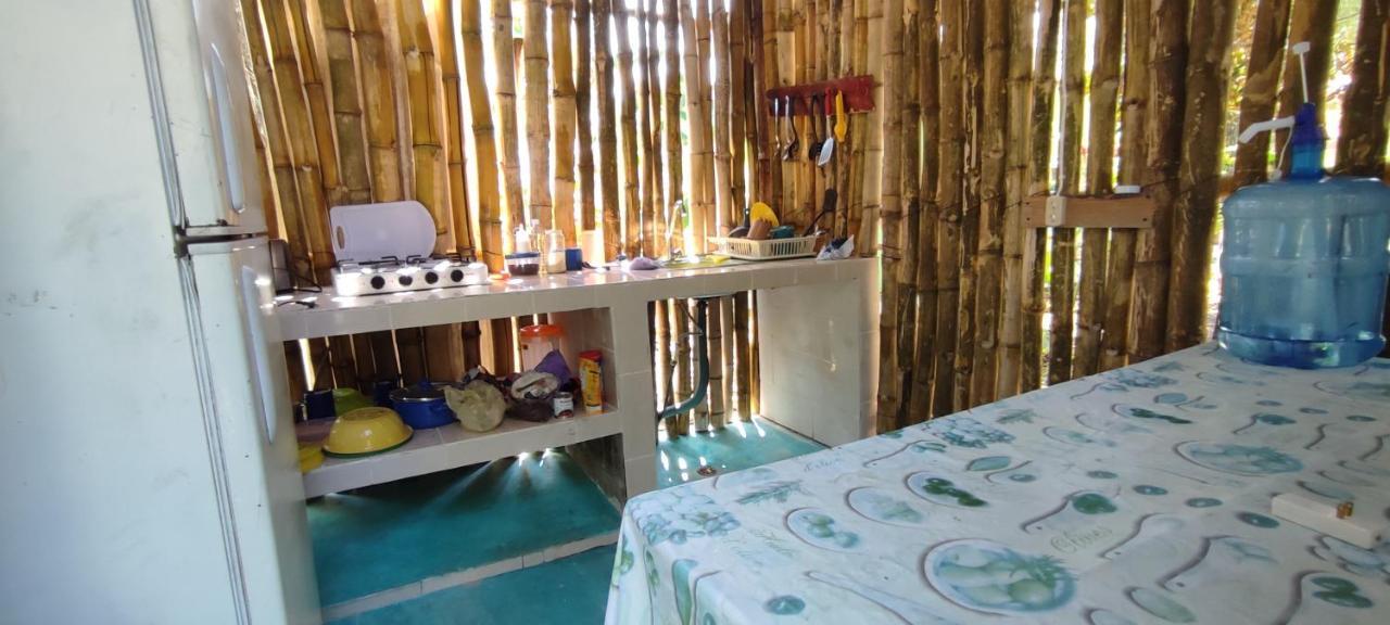 Villas Del Carmen Hostal 帕伦克 外观 照片